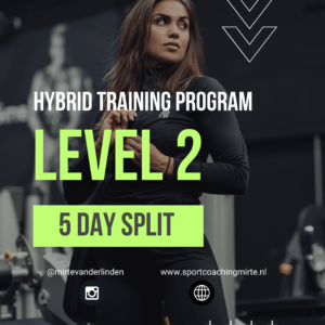 Hybride programma - Level 2